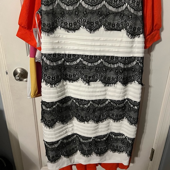 NWT Dress Barn Sheath style dress - Picture 4 of 4